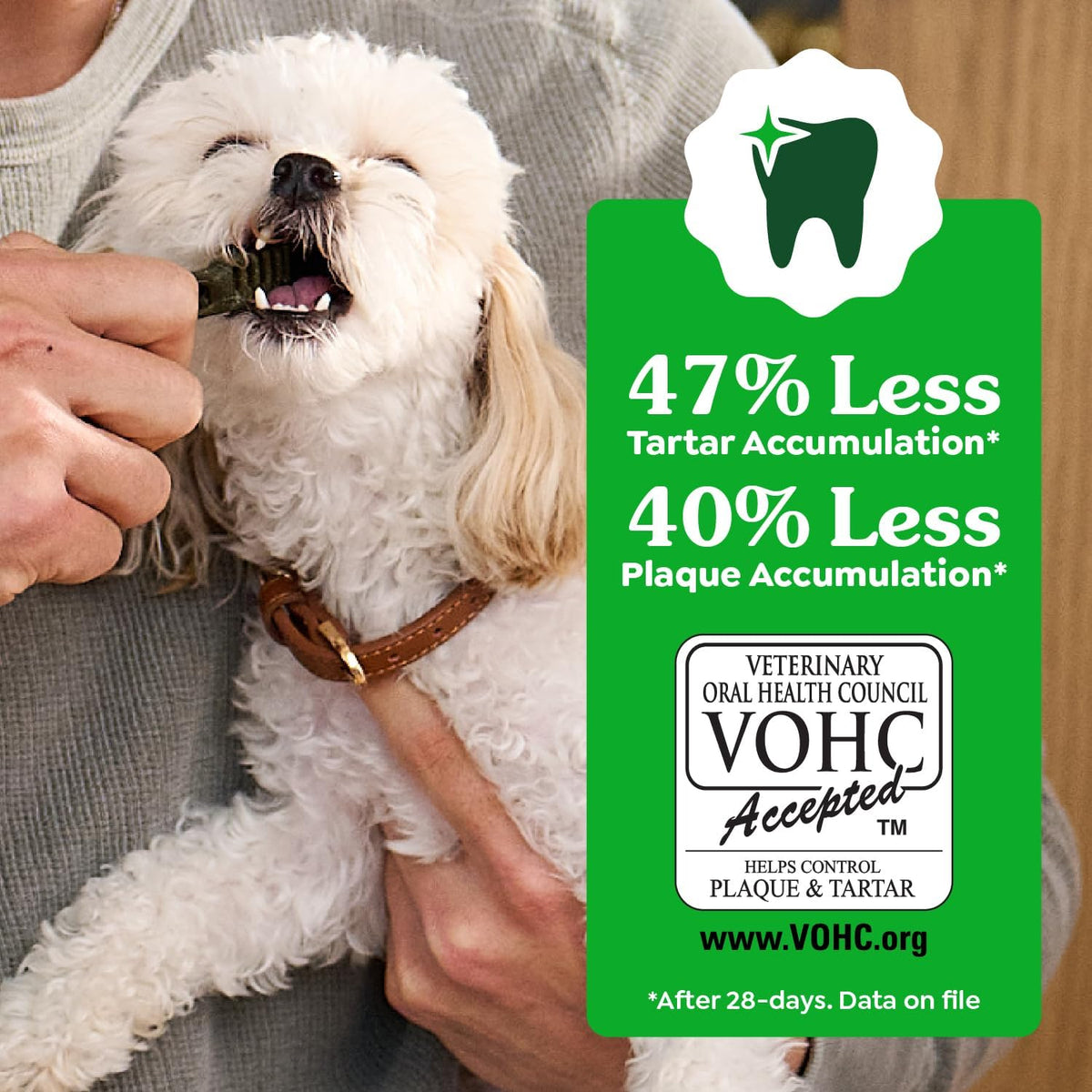 greenies dog treats,veterinarian-recommended natural dental dog treats,large size,sweet showing dimensions
