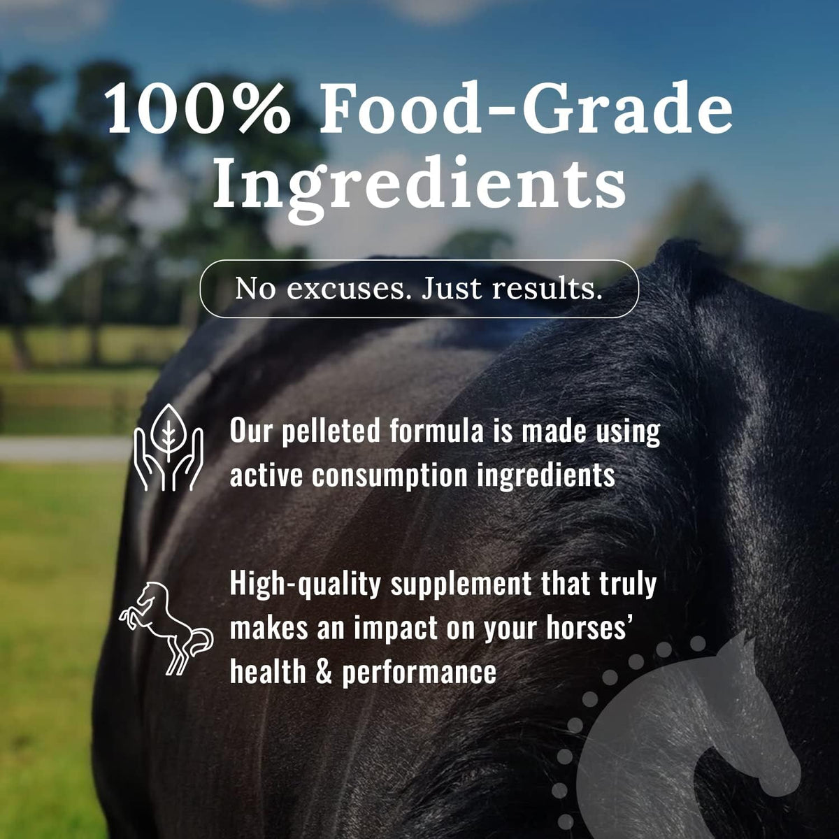 mojo joint horse supplements, equine pelleted supplement, all, side view