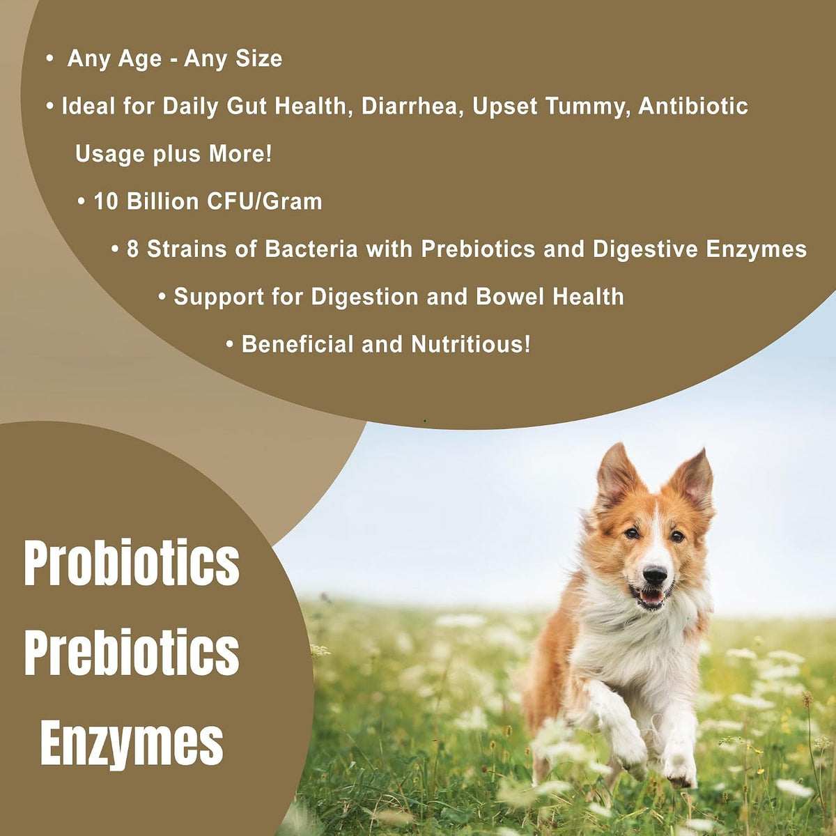 dogzymes probiotic max -10 billion cfu's probiotics, prebiotics, close-up detail