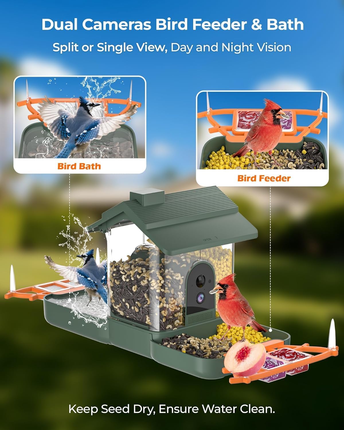 2-in-1 bird bath and bird feeder with cameras shown in use