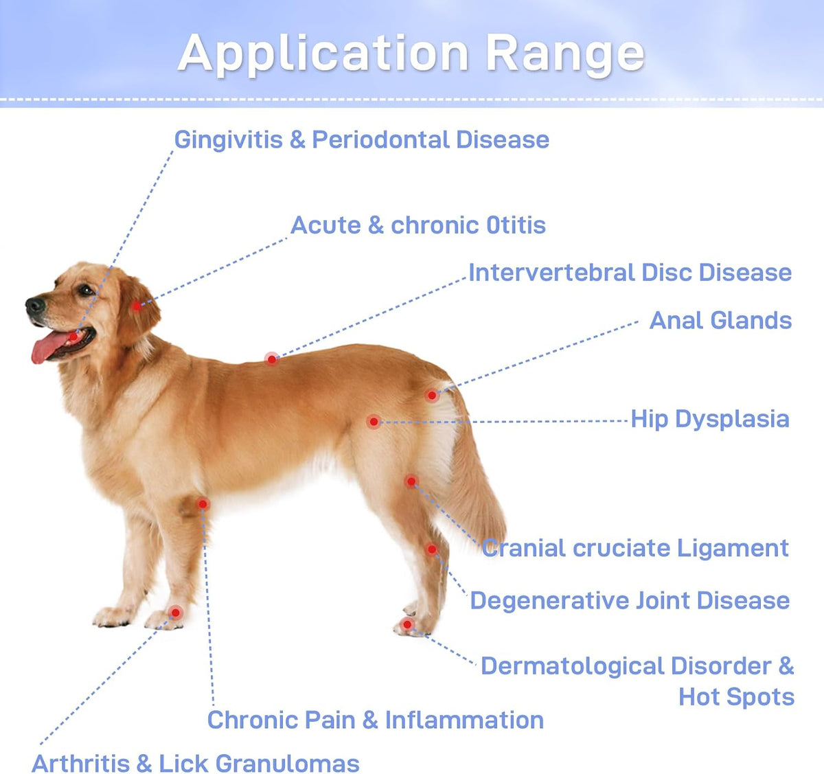 cold therapy device for dogs - infrared red, close-up detail