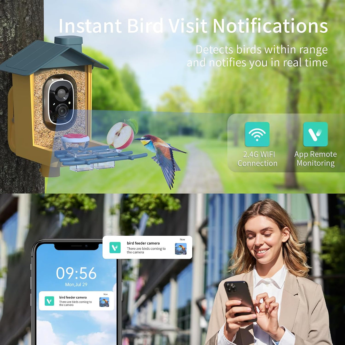 bird feeder with camera - ai identify bird, close-up detail