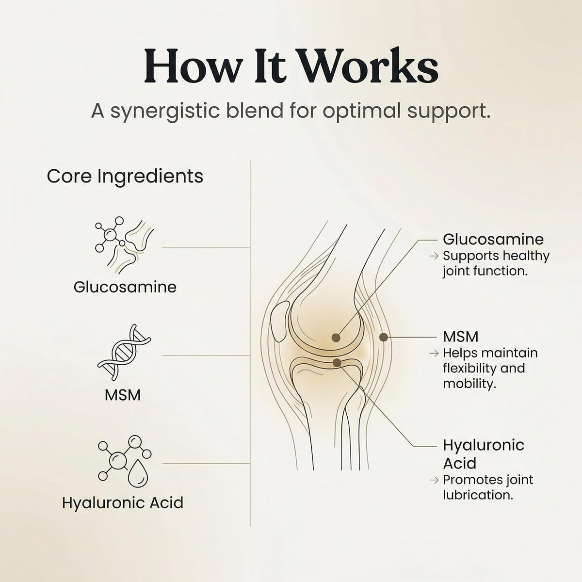 purica pet recovery extra strength - joint support showing dimensions