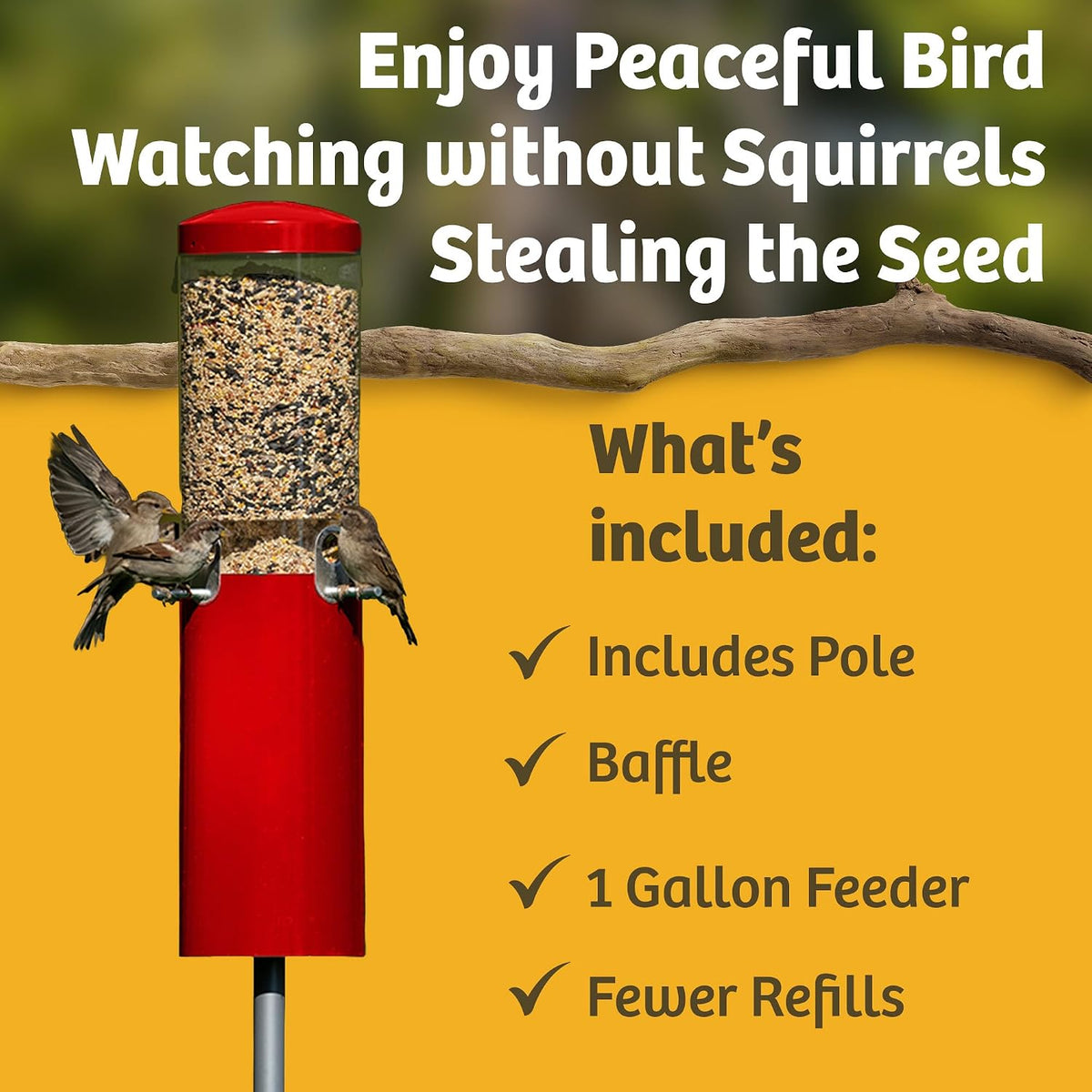 birds choice classic squirrel resistant bird feeder with, side view