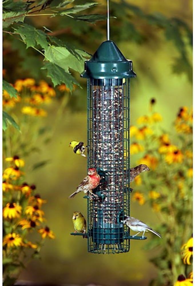 brome gc bird care - squirrel buster feeder, main product view