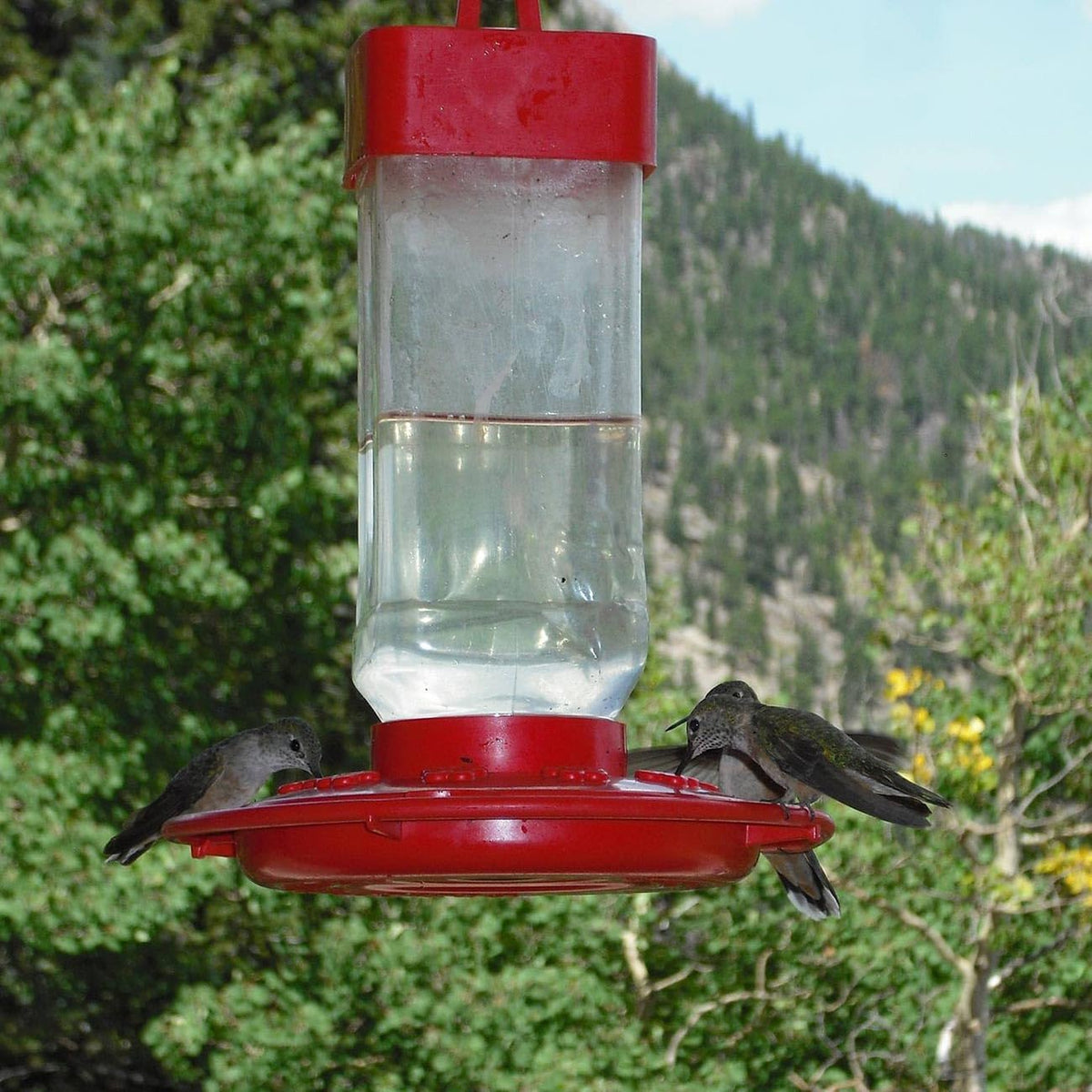 first nature 3055 32-ounce hummingbird feeder (set of shown in use