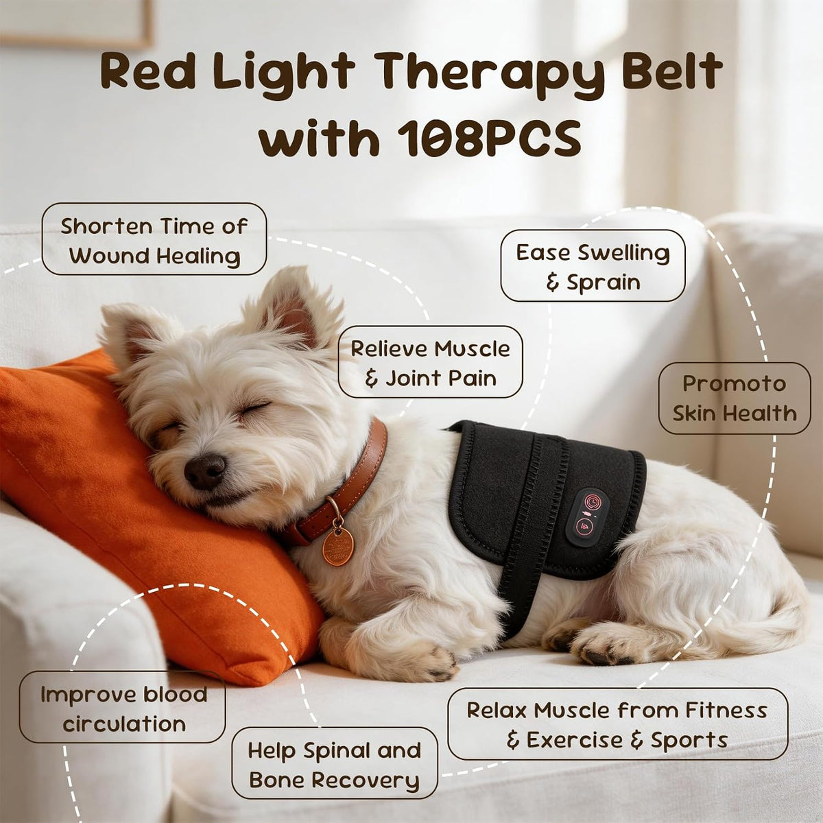red light therapy belt for dogs pain relief shown in use