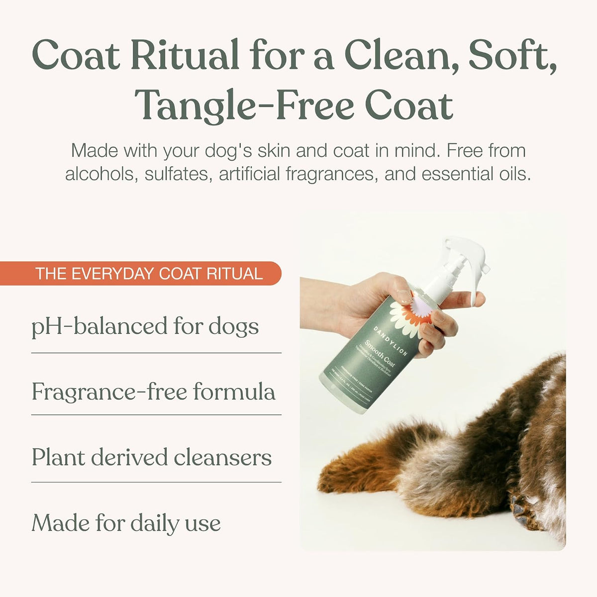 dandylion coat care trio, waterless shampoo, doodle detangler shown in use