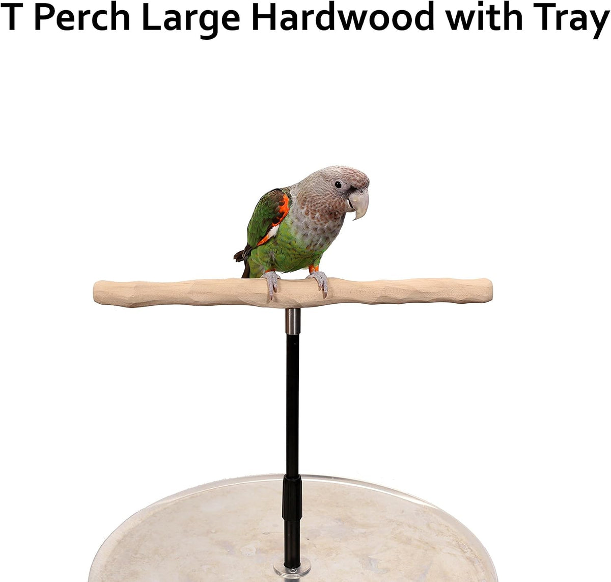 parrot training perch stand with potty tray (t shown in use