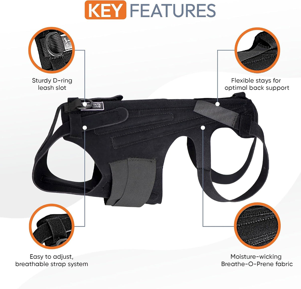 dog back brace for ivdd - orthopedic support, close-up detail