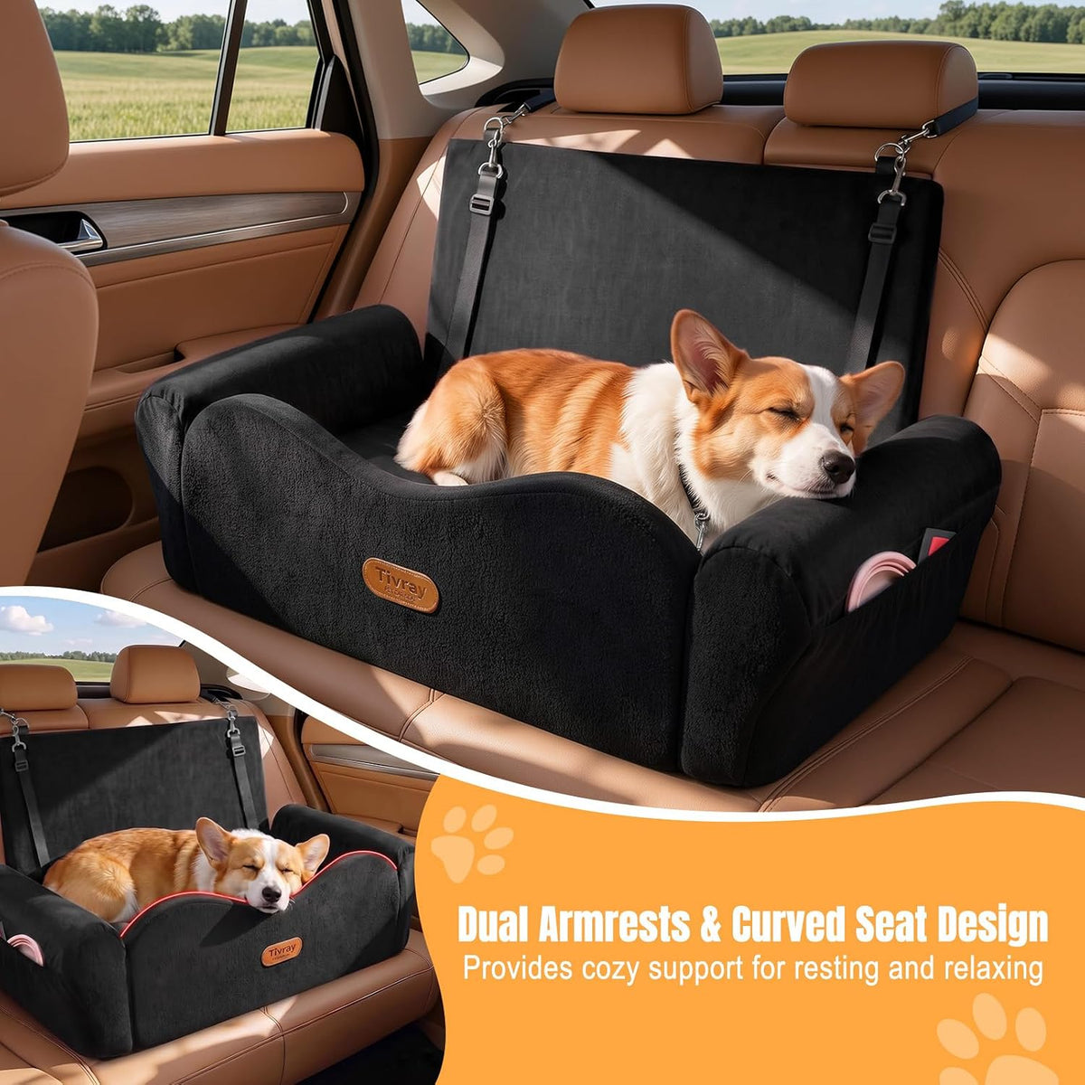 elevated dog car seat for 2 small dogs shown in use