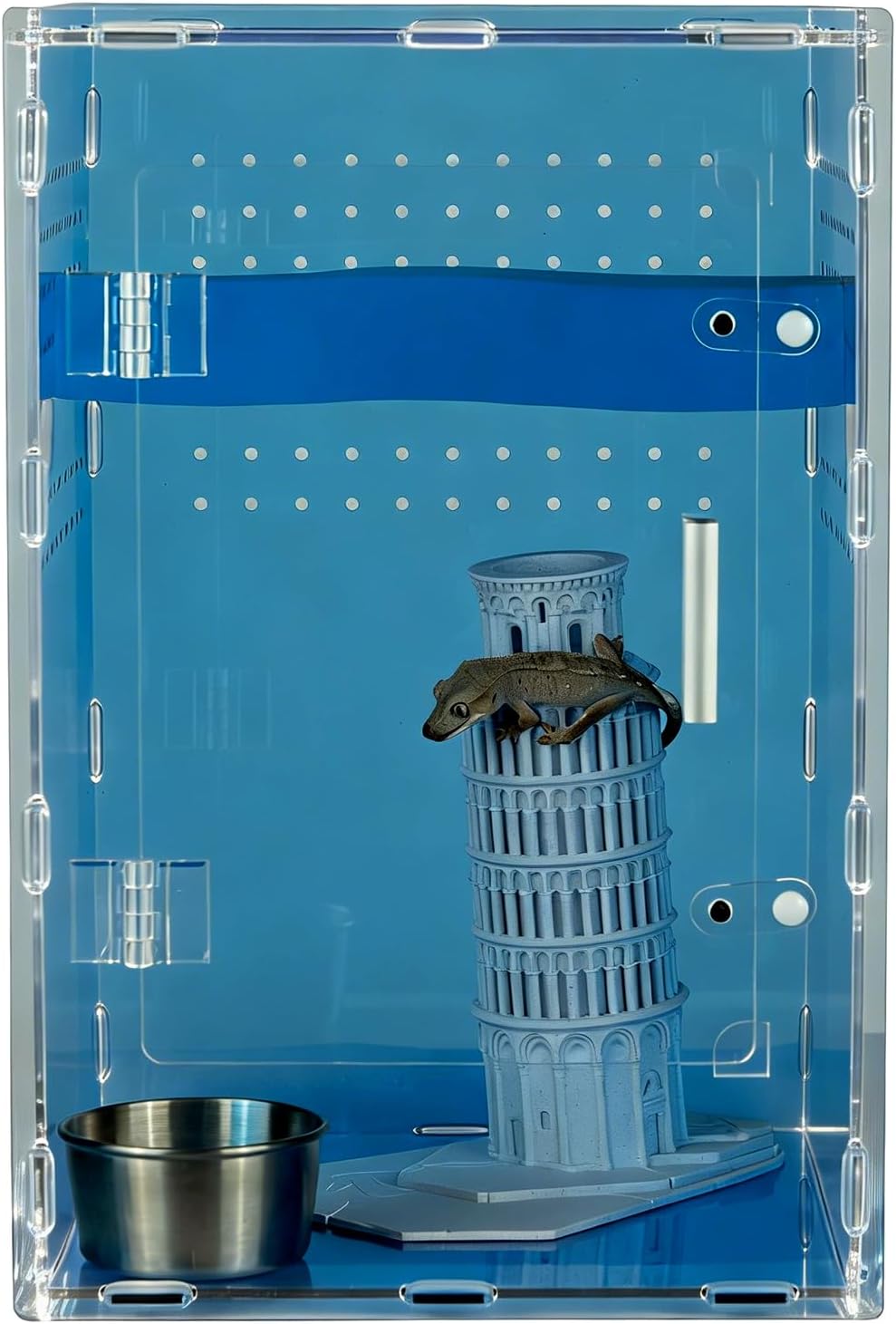 8x8x12 blue acrylic terrarium vertical for spider reptile shown in use
