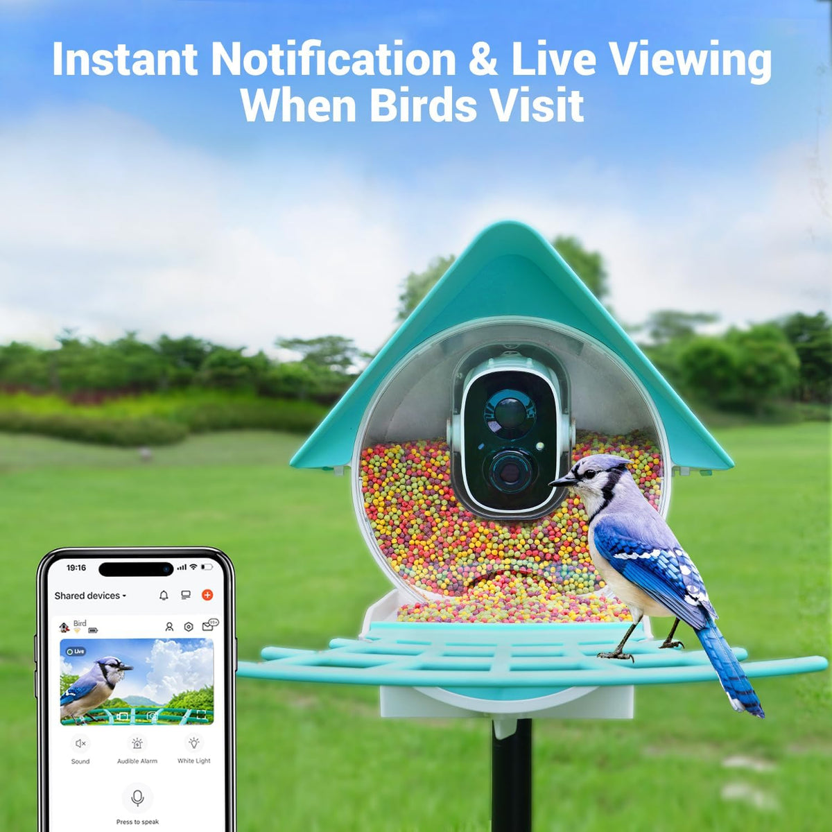birdkiss smart bird feeder camera with solar panel shown in use