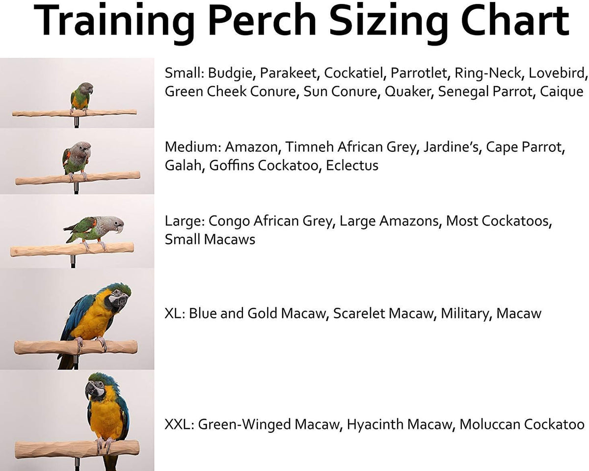 parrot training perch stand with potty tray (t, side view