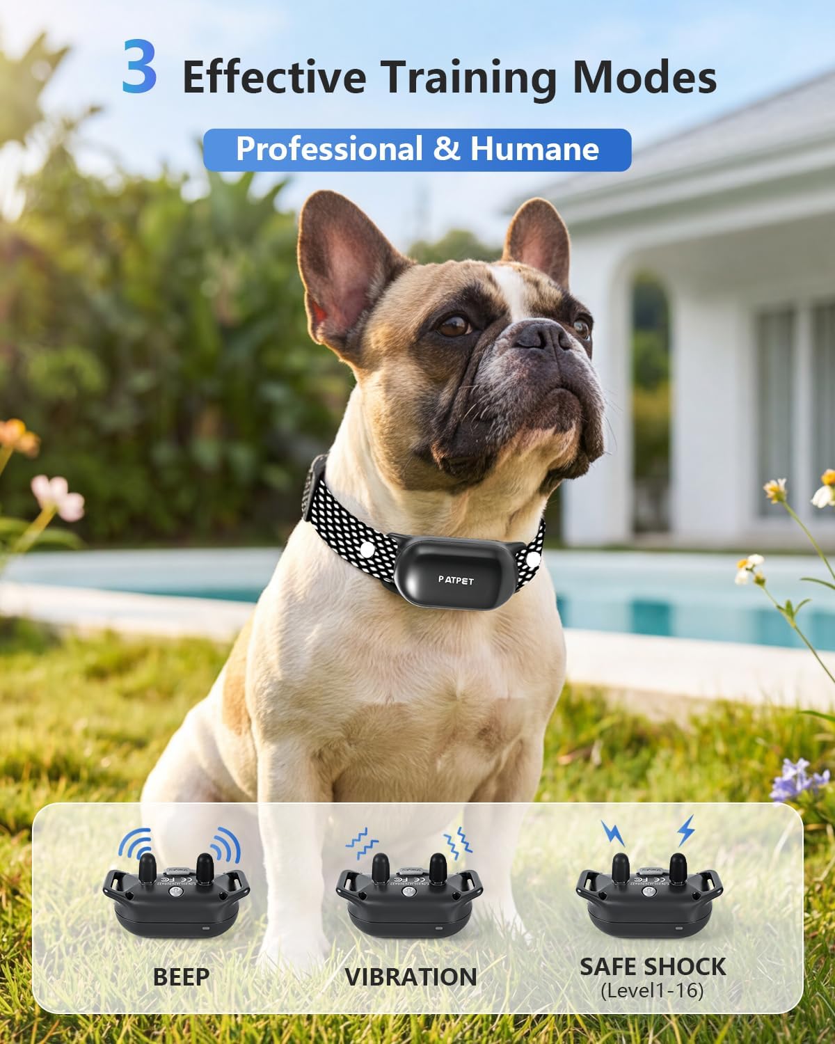 patpet shock collar for dogs(10-120lbs), 4000ft rechargeable ipx7 shown in use