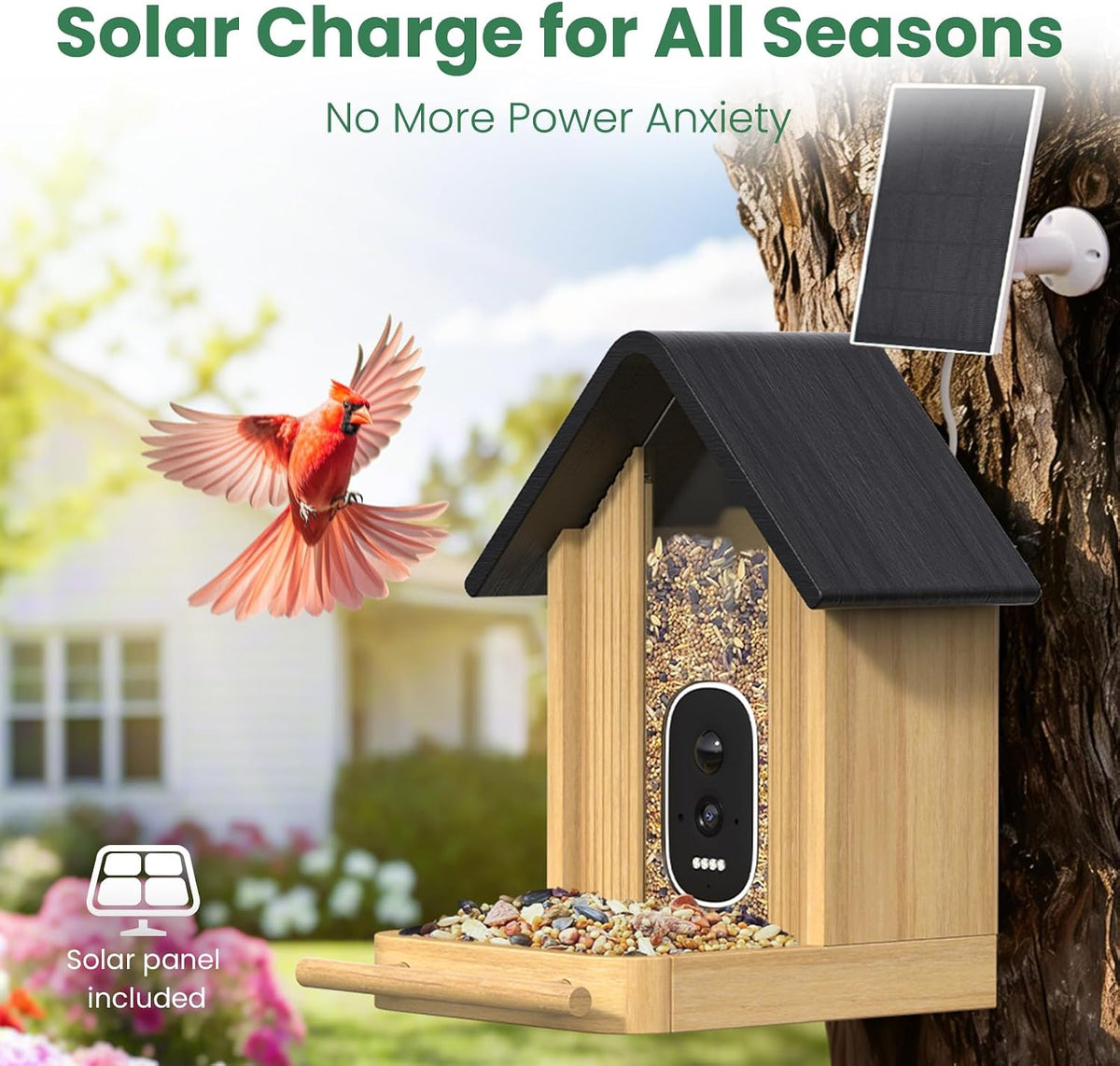 smart bird feeder camera with solar panel, bamboo showing dimensions