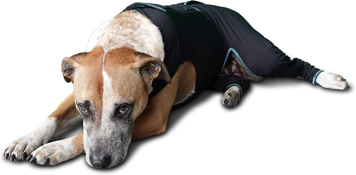 benefab therapeutic comfort suit for dogs — lightweight showing dimensions