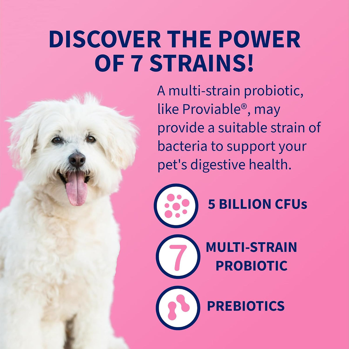 nutramax proviable probiotics for dogs, daily digestive health, side view