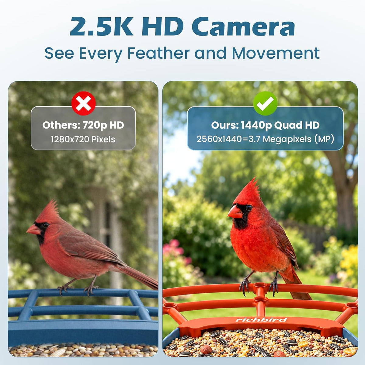 smart bird feeder with camera & solar panel showing dimensions