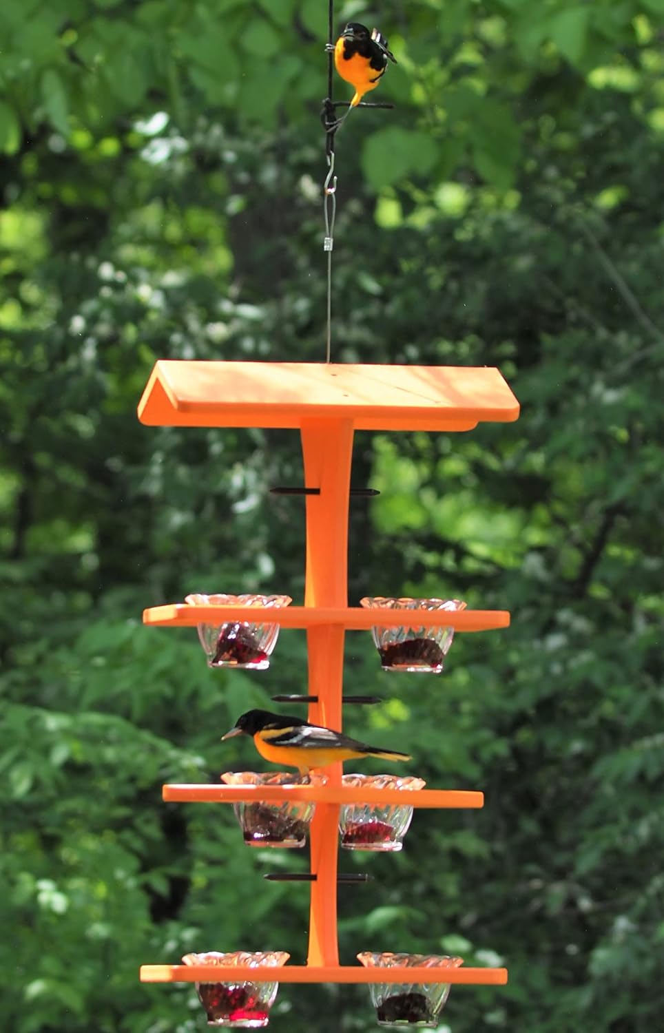 oriole bird feeder, triple deck, orange shown in use