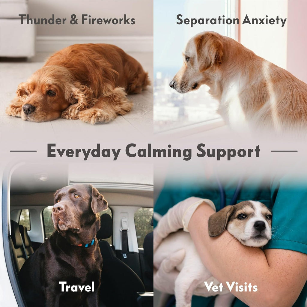 paw inspired dog anxiety vest, small, package contents