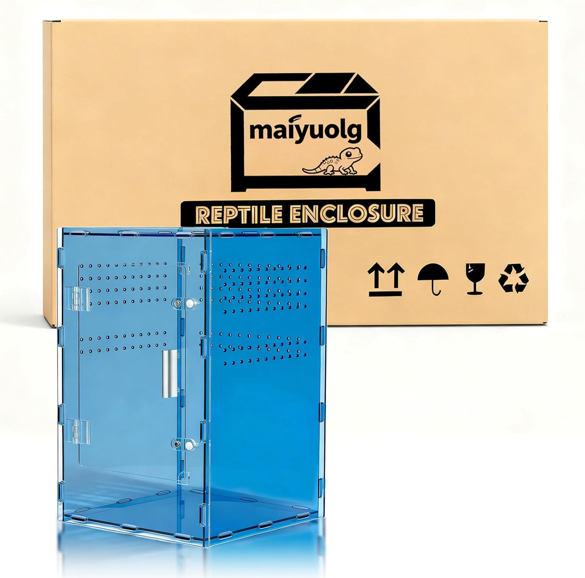8x8x12 blue acrylic terrarium vertical for spider reptile showing dimensions