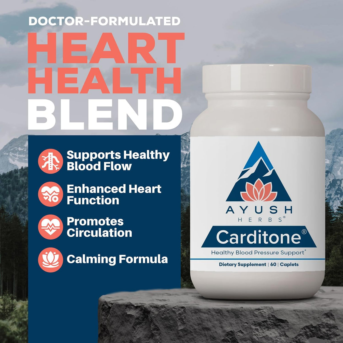 ayush herbs carditone, bp formula, arjuna, calcium, 120 shown in use
