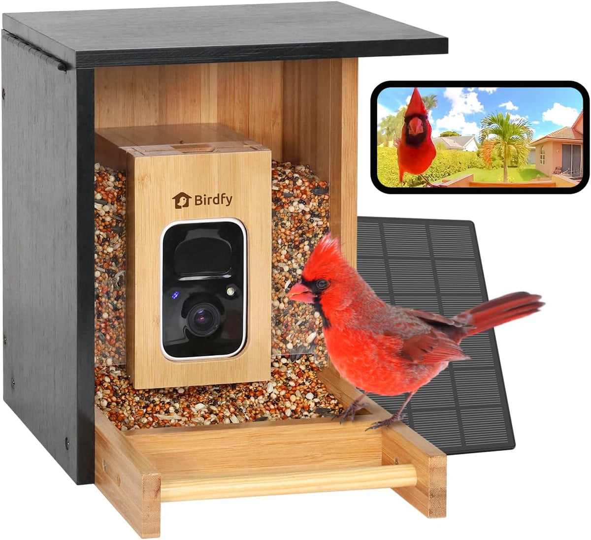 birdfy smart bird feeder with camera, high-end bamboo, main product view