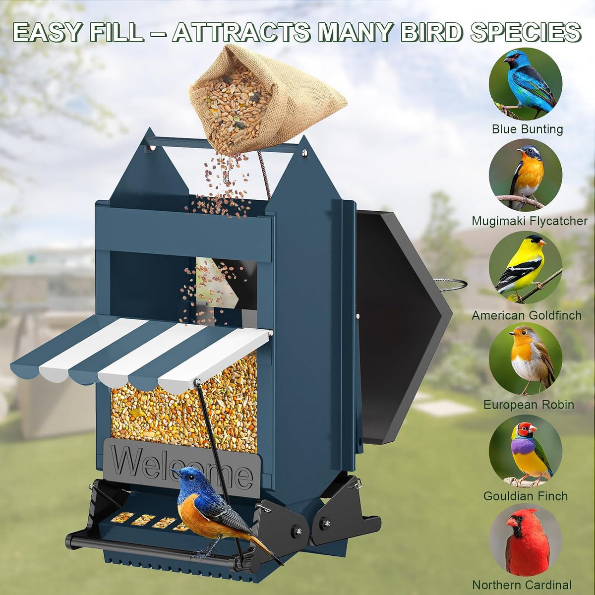squirrel proof metal hanging bird feeder for outdoors showing dimensions