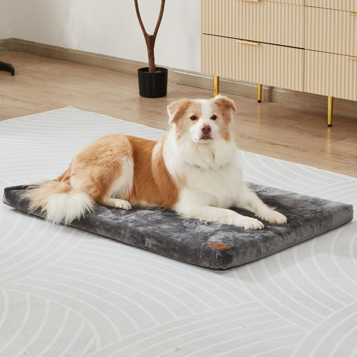 liorce dog crate pad - dog bed large, front angle view