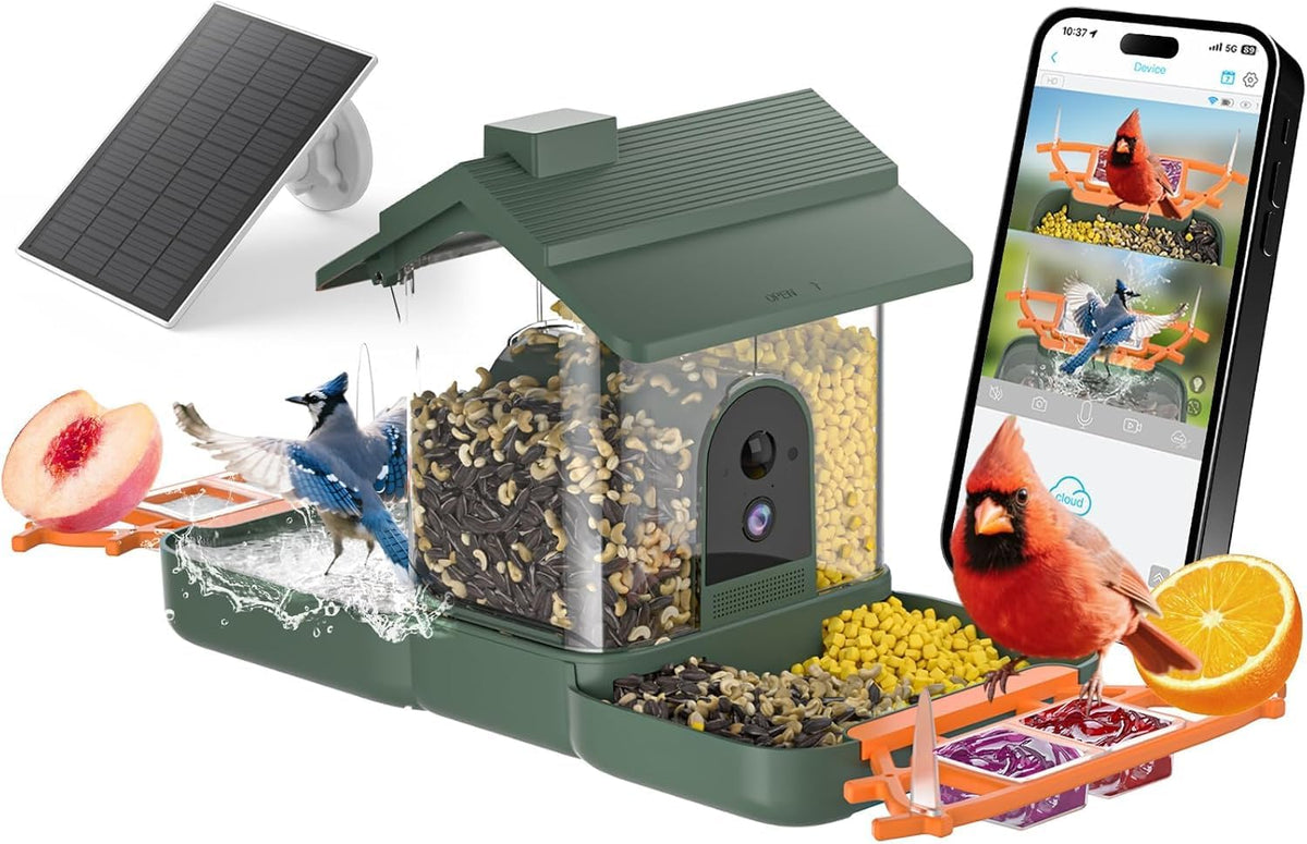 2-in-1 bird bath and bird feeder with cameras, main product view