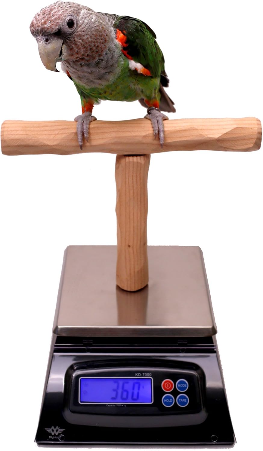 nu perch parrot training scale, main product view