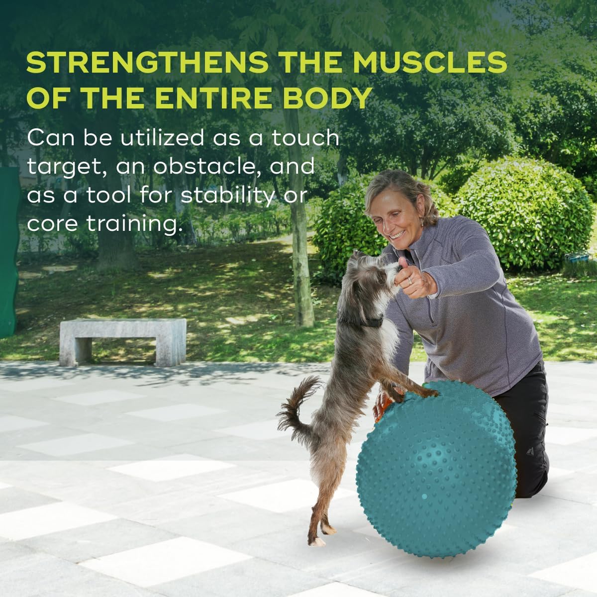 fitpaws® trax peanut, dog training rehabilitation exercise equipment, side view