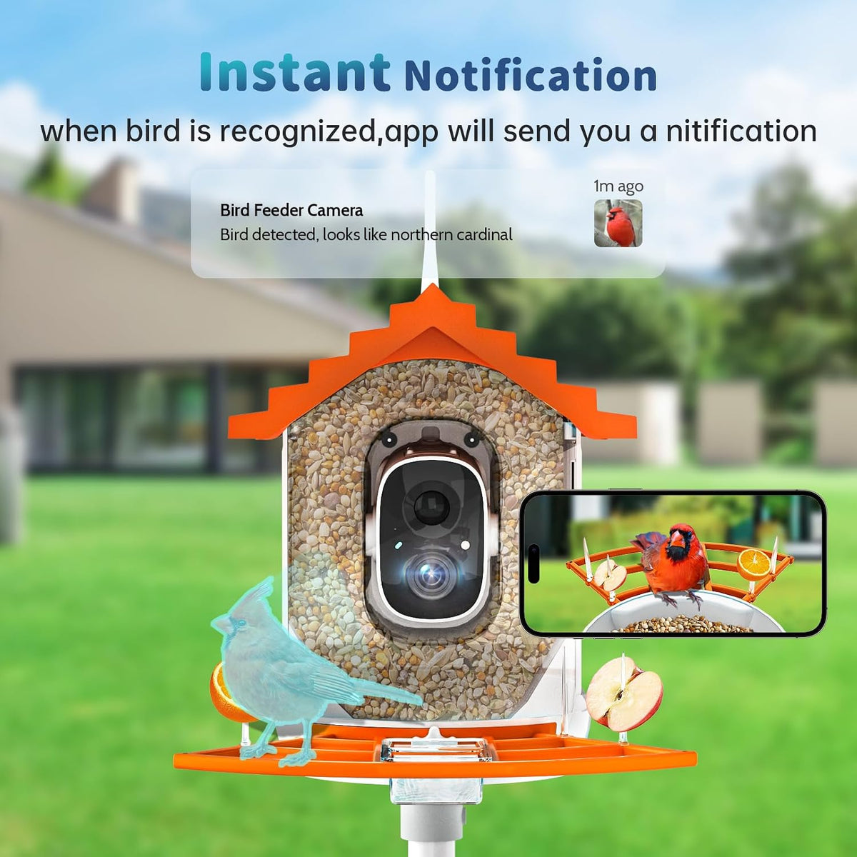 smart bird feeder with camera solar powered &, close-up detail