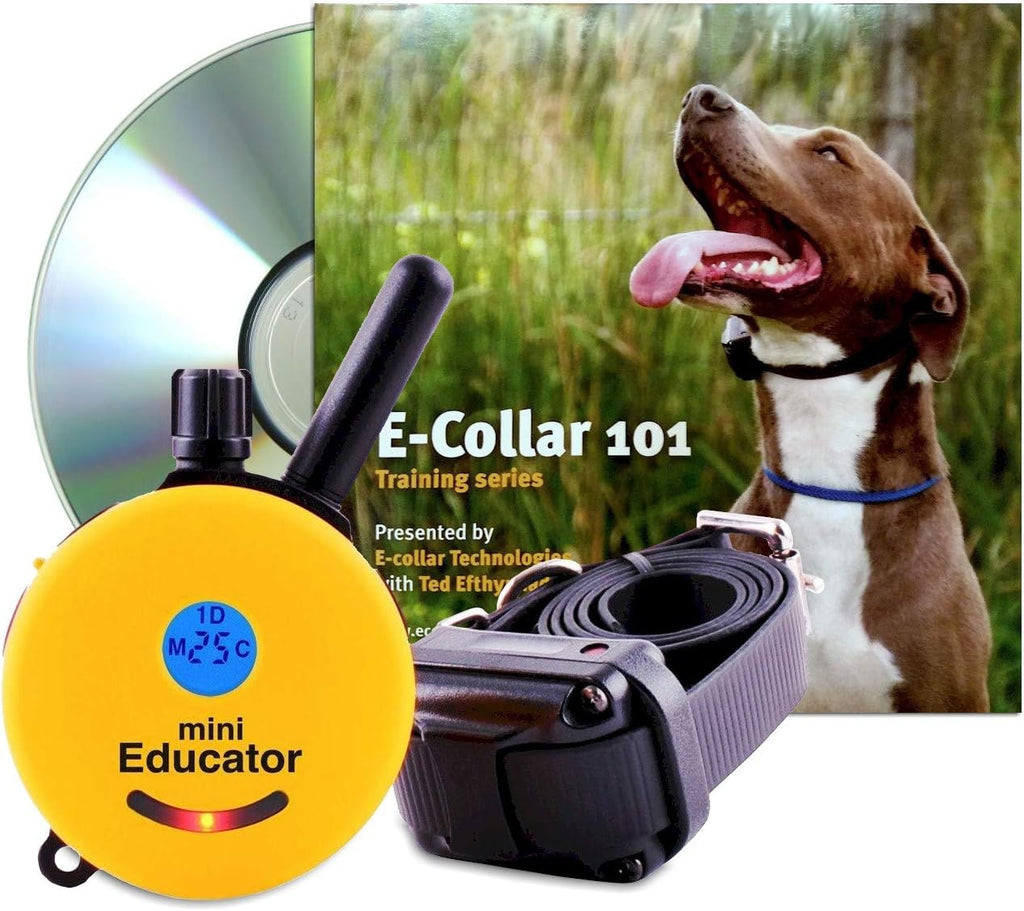 e-collar educator et-300-tv remote dog training collar, yellow, main product view