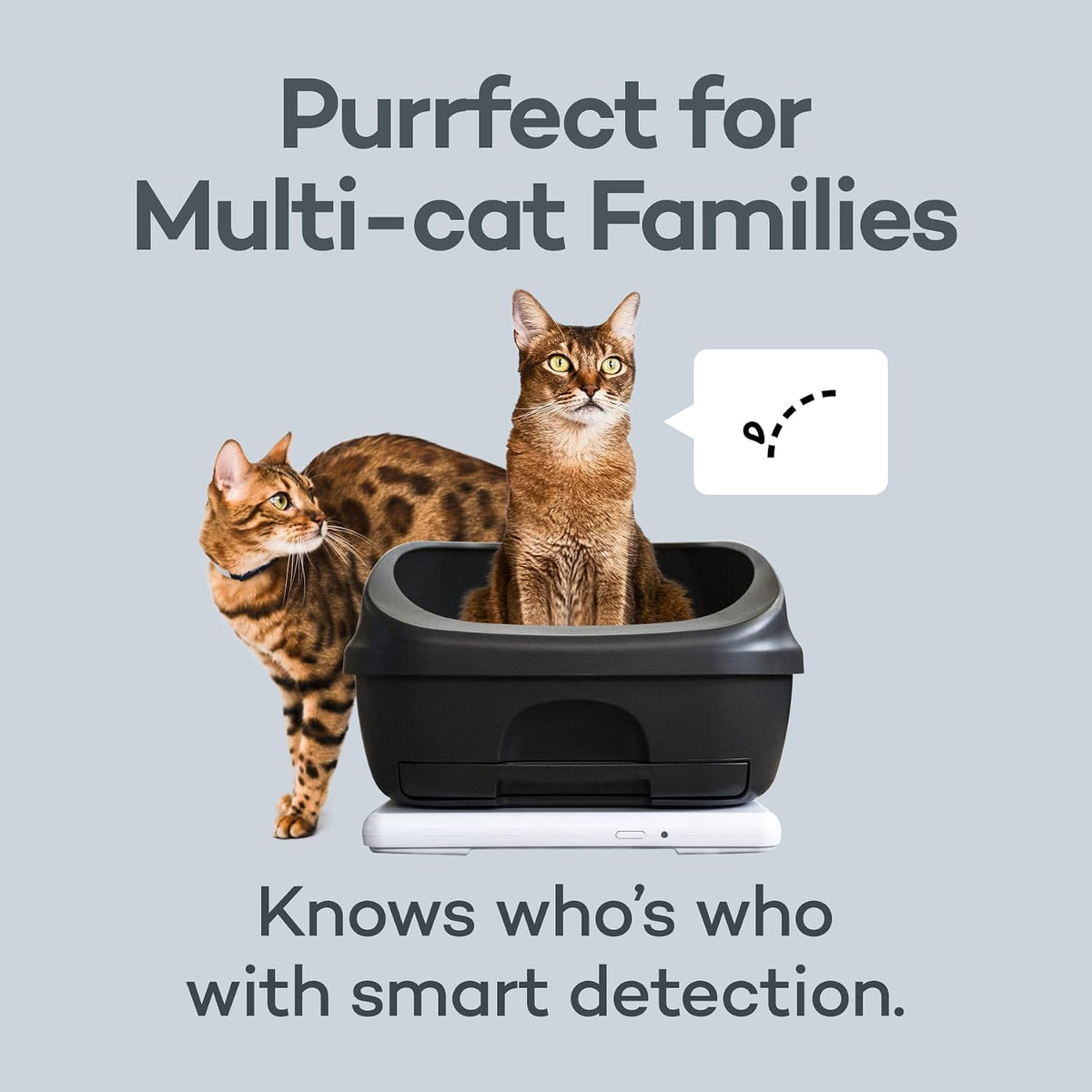 board - smart litter box monitoring system, healthcare showing dimensions