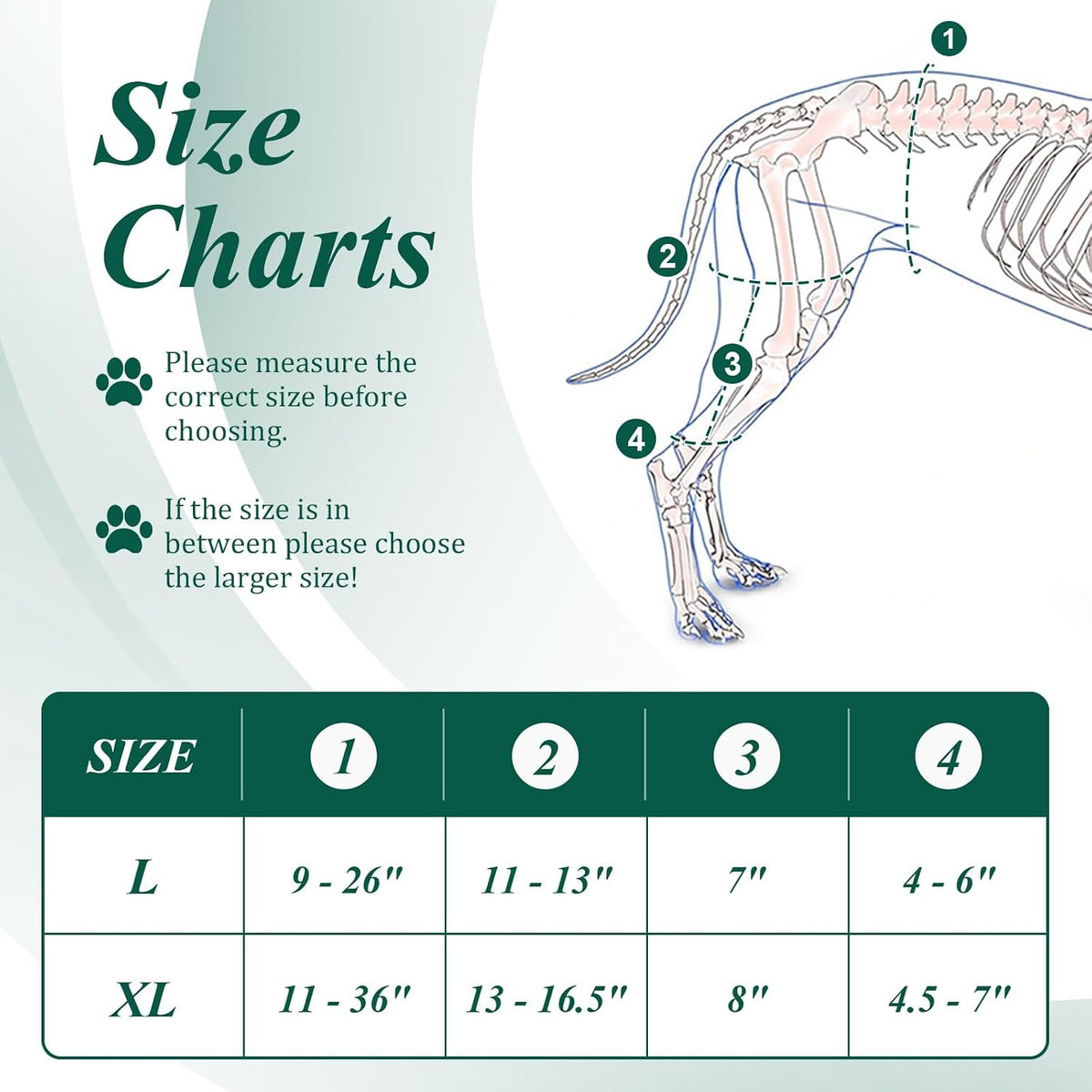 dog knee brace for acl support, red & showing dimensions