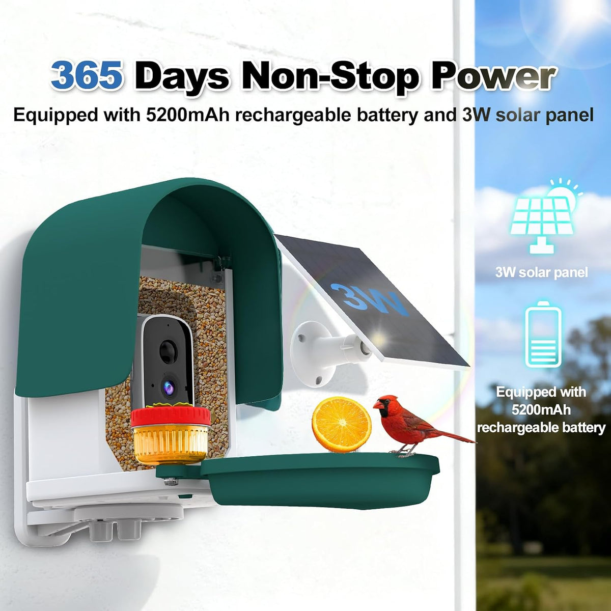 4k bird feeder camera, ai identify, solar, 2-way, side view