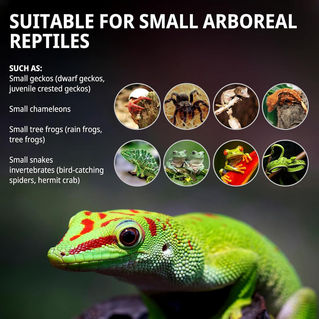 tall reptile glass tank 8"x8"x18" pre-assembled vertical small on a desk or shelf