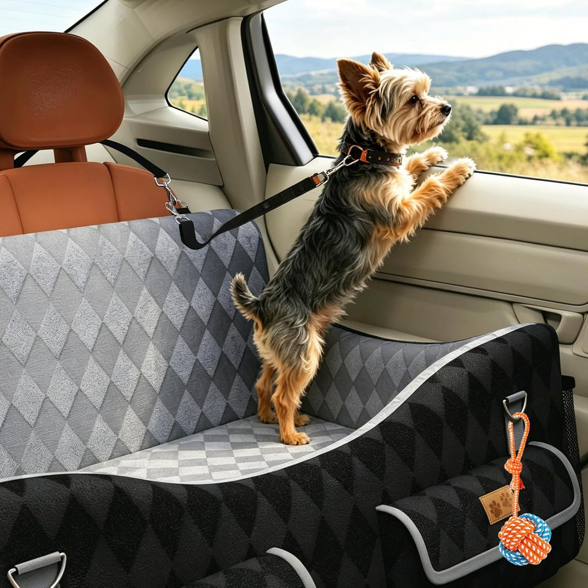 dog car seat for medium/large dogs up to showing dimensions