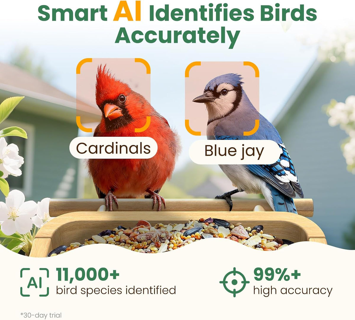 smart bird feeder camera with solar panel, bamboo, close-up detail