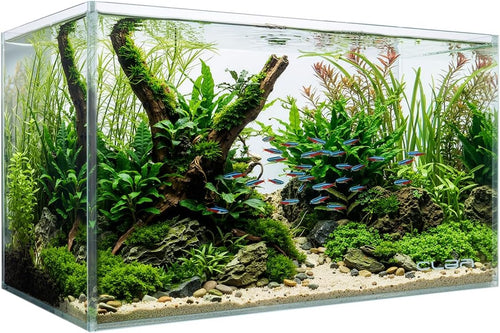 10 gallon rectangular fish tank, rimless ultra clear, main product view