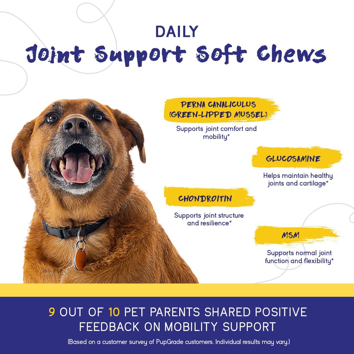 pupgrade joint support for dogs, beef flavor showing dimensions