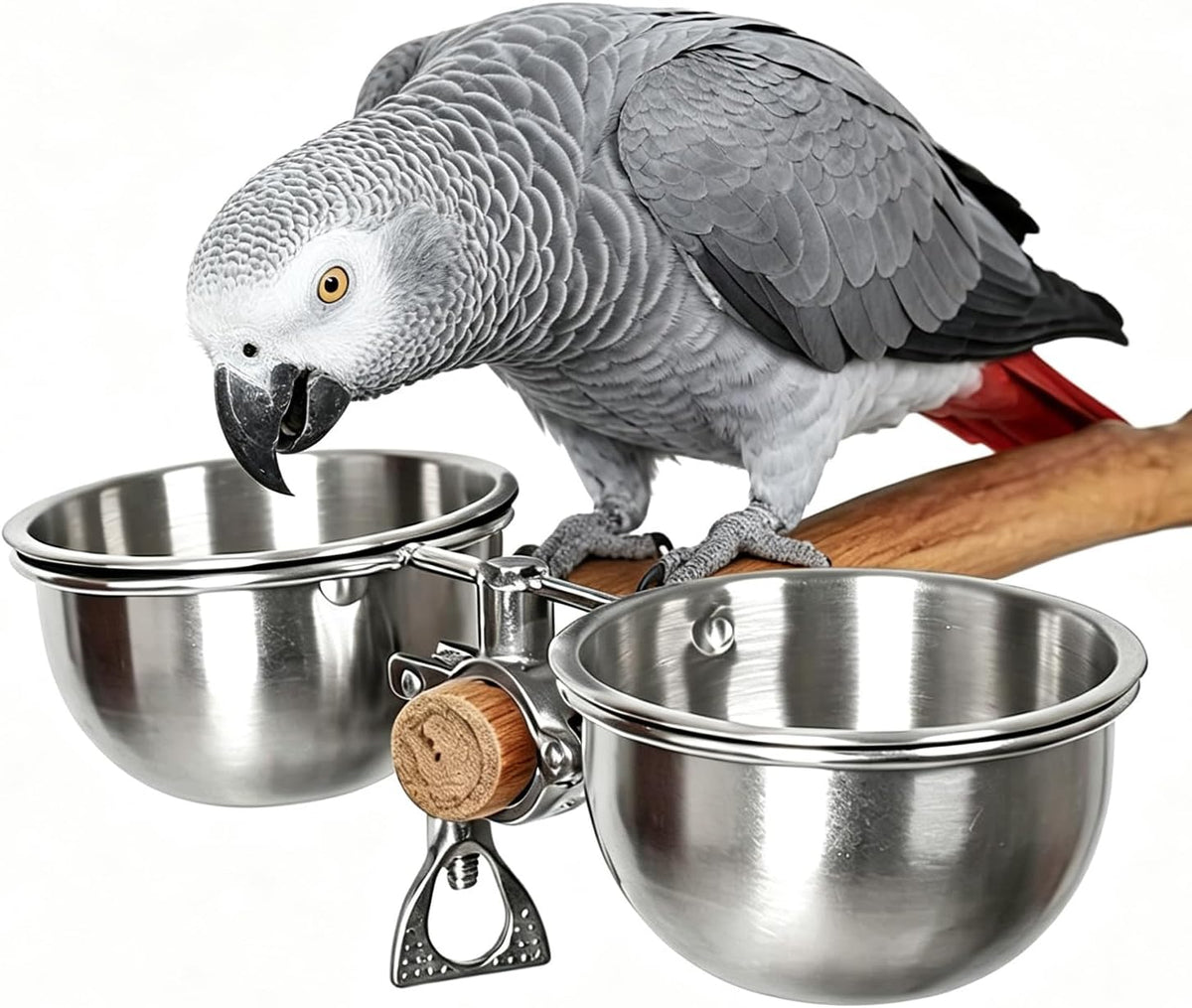 anti-tip stainless steel parrot feeding cups locking clip, main product view
