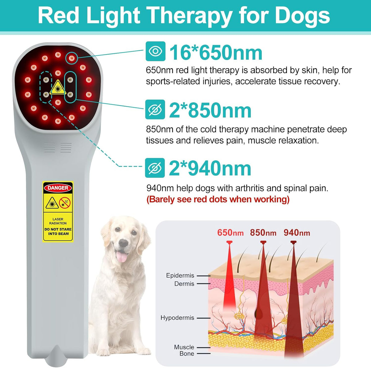 cold laser therapy device, infrared light therapy for shown in use