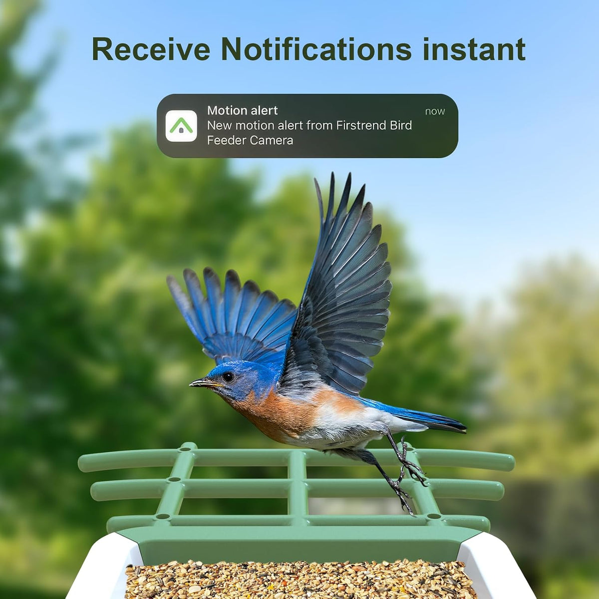 smart bird feeder with camera: solar powered birdhouse, side view
