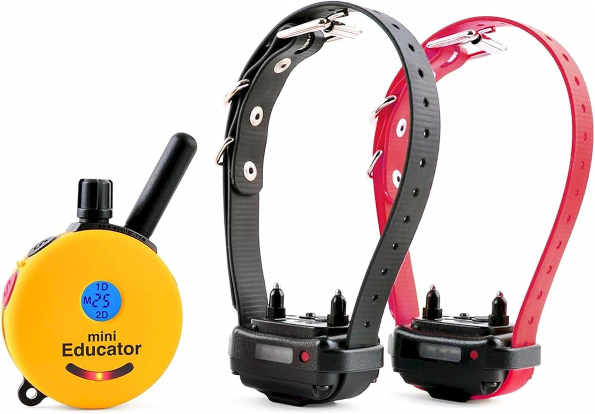 e-collar mini educator et-302 remote dog training collar, main product view