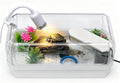 turtle tank kit with rain arm for red, main product view