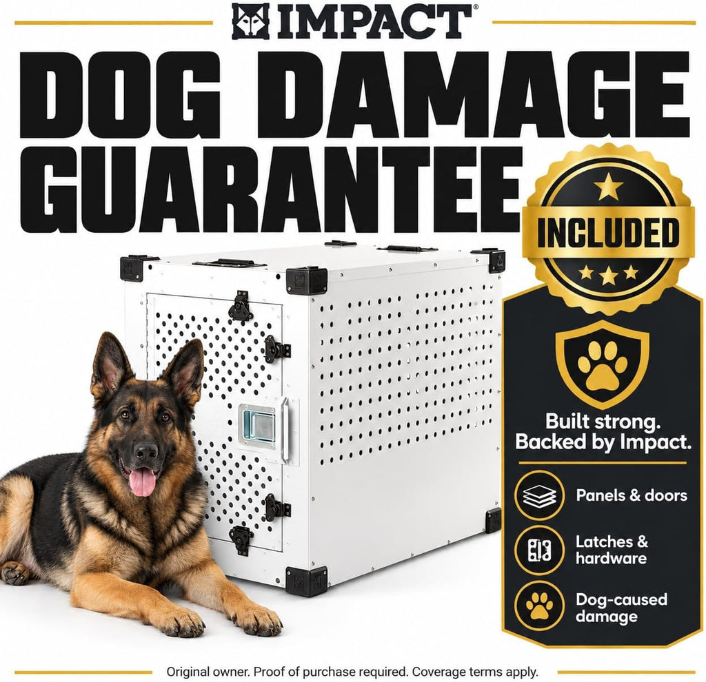 impact high anxiety dog crate - escape proof shown in use