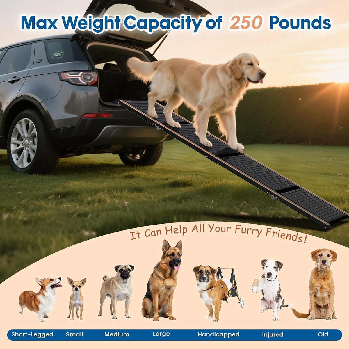 hbtower 71" l x 17.3" w folding dog, close-up detail